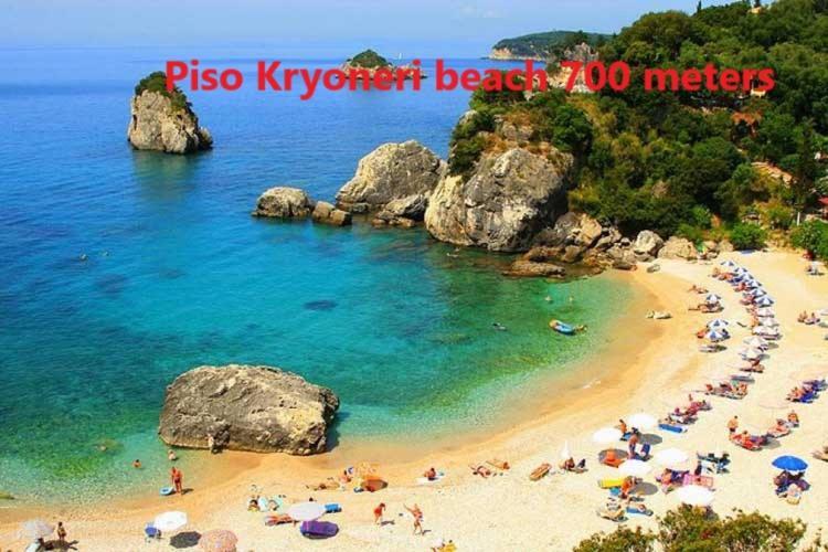 Odyssey Apartment Parga Bagian luar foto